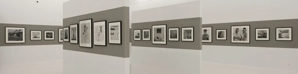 Roger Ballen: Shadow Land. Fotografie (1982-2013)