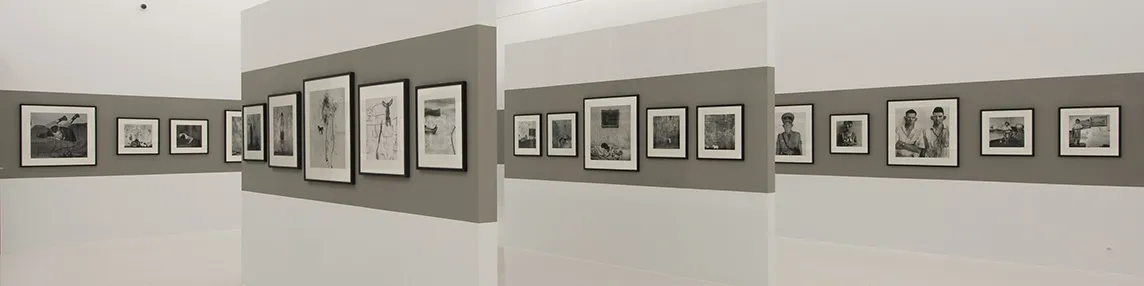Roger Ballen: Shadow Land. Fotografie (1982-2013)