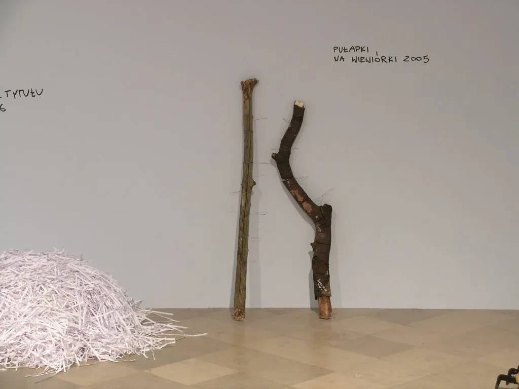 Art Is a Kind of Politics Conducted by Other Means: On Janek Simon’s Polish Year in Madagascar Project