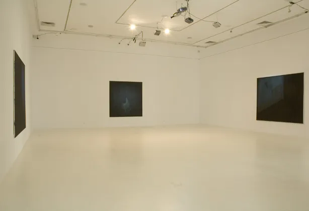Dominik Lejman: Historia Naturalna — Galeria 3